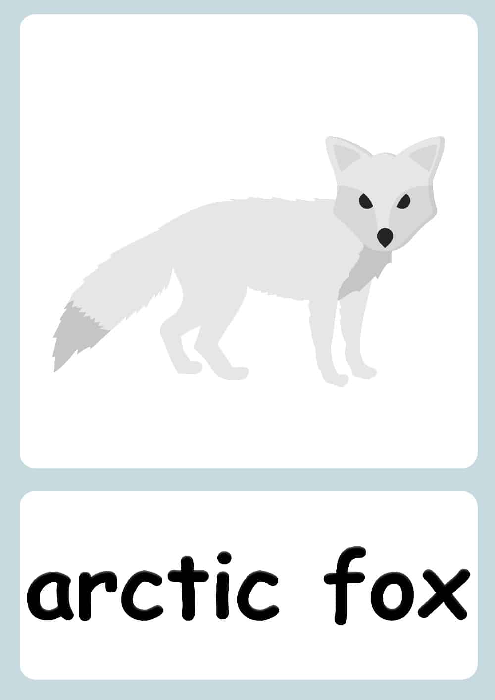 Arctic Animal flashcards + FREE Arctic background