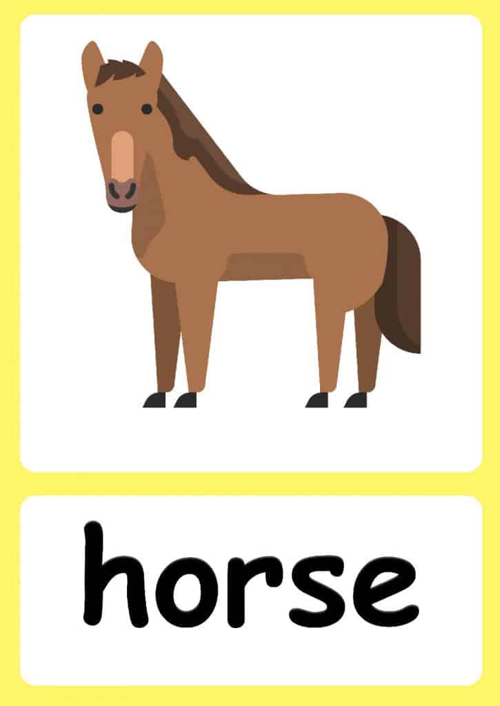 Farm Animal Flashcards FREE Farm Background