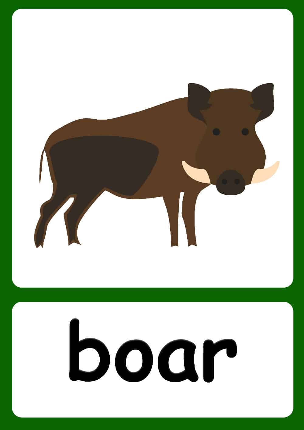 Forest Animal flashcards + FREE Forest background