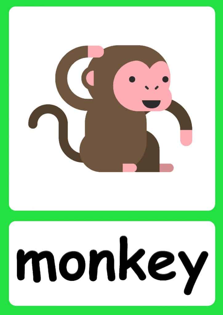 Jungle Animal flashcards + FREE Jungle background