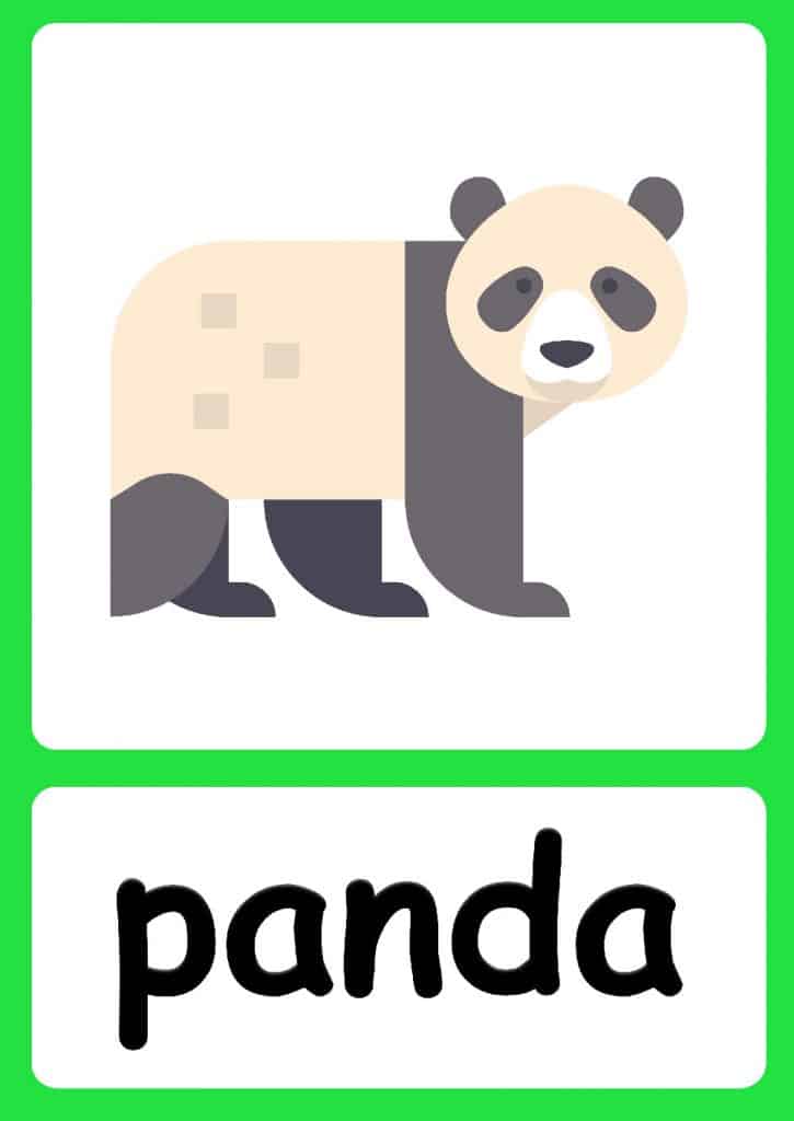 Jungle Animal flashcards + FREE Jungle background