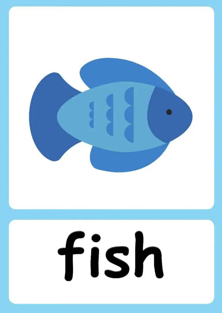 Sea Animal flashcards + FREE Jungle background